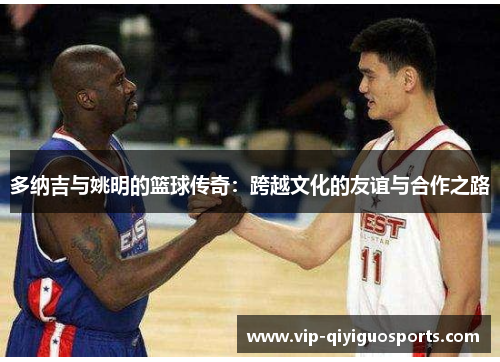 多纳吉与姚明的篮球传奇：跨越文化的友谊与合作之路